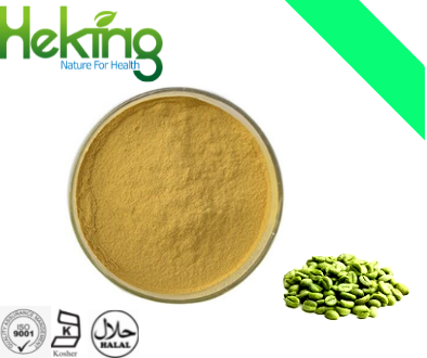 Green coffee bean  extract 